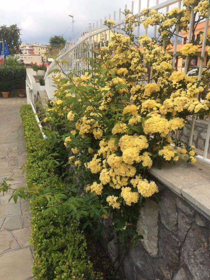 Relais Le Due Costiere Villa Massa Lubrense Eksteriør billede